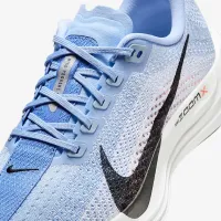 Nike Pegasus Plus женская Road Running Кроссовки синий