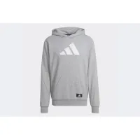 Кофта/футболка adidas Future Icons Толстовка з капюшоном HA1412 - Сіра