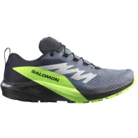 Кросівки для бігу Чоловічі Salomon SENSE RIDE 5 GTX Gore-Tex (473128)