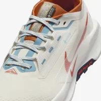 Nike Pegasus Trail 5 GORE-TEX чоловічі Waterproof Trail Running Кросівки колір сірий