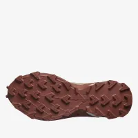 Кросівки Salomon Alphacross 5 L47460200 - Бежевий