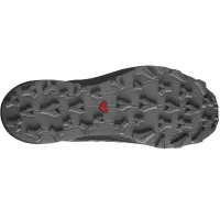 Кроссовки Мужские SALOMON THUNDERCROSS GTX Gore-Tex (478029)