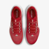 Ohio State Pegasus 41 мужские Nike College Road Running Кроссовки цвет красный
