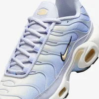 Nike Air Max Plus жіноча Кросівки колір сірий