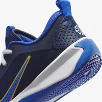 Nike Omni Multi-Court Big детские Indoor Court Кроссовки синий