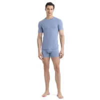 Футболка Icebreaker Anatomica SS Crewe 1030338851 - Голубая
