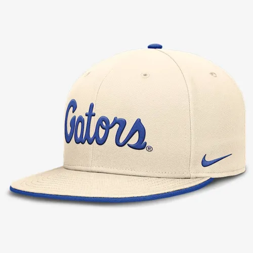 Florida Gators Primetime True чоловічі Nike Dri-FIT College Fitted Hat колір коричневий