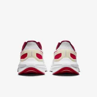 Nike Structure 25 Premium чоловічі Road Running Кросівки колір білий