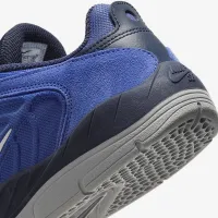 Nike SB Vertebrae чоловічі Кросівки блакитний