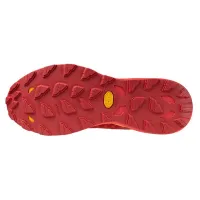 Кросівки для бігу w terenie Mizuno WAVE DAICHI 8 GTX (J1GJ245602)