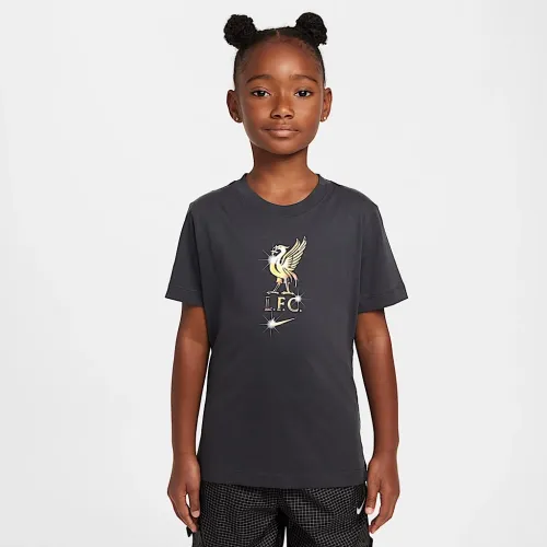 Liverpool FC Big дитячі Nike Soccer футболка колір сірий