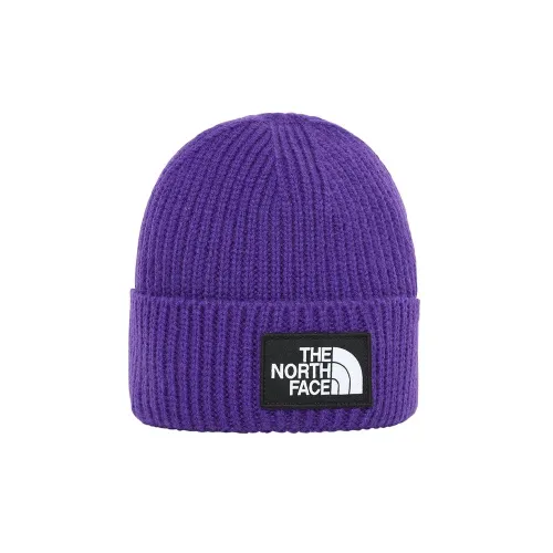 THE NORTH FACE BEANIE 0A3FJXNL41