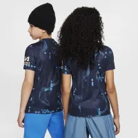 Chelsea FC Academy Pro Big детские Nike Dri-FIT Soccer Short-Sleeve Pre-Match Top синий