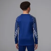 Nike Paris Saint-Germain 2024/25 Stadium Fourth Big дитячі Jordan Dri-FIT Soccer Replica Long-Sleeve Jersey блакитний