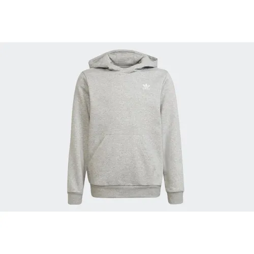 Кофта/футболка adidas Originals Adicolor Толстовка с капюшоном H32353 - Серая