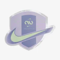 Nike United Mercurial Vapor 16 Elite FG Low-Top футбольные бутсы цвет фиолетовый