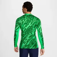 Paris Saint-Germain 2024/25 Stadium Goalkeeper чоловічі Nike Dri-FIT Soccer Replica Long-Sleeve Jersey колір зелений