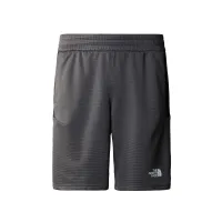 Шорты The North Face Fleece Short 0A87J4WUO1 - Серые