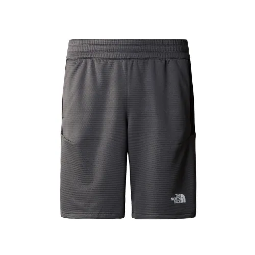 Шорты The North Face Fleece Short 0A87J4WUO1 - Серые