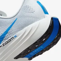 Nike Pegasus Plus мужские Road Running Кроссовки цвет серый