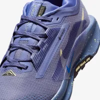 Nike Pegasus Trail 5 GORE-TEX жіноча Waterproof Trail Running Кросівки блакитний