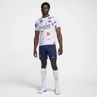 Paris Saint-Germain Academy Pro Away чоловічі Nike Dri-FIT Soccer Pre-Match Short-Sleeve Top колір білий
