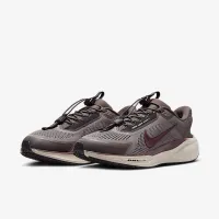 Nike Pegasus EasyOn чоловічі Road Running Кросівки колір сірий
