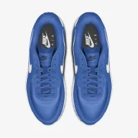Nike Air Max 90 By You Custom мужские Кроссовки многоцветный