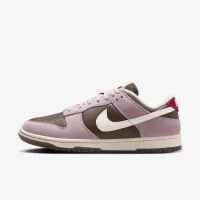 Nike Dunk Low женская Кроссовки цвет коричневый