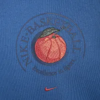 Nike Standard Issue чоловічі Dri-FIT баскетбольні Pullover Толстовка з капюшоном блакитний