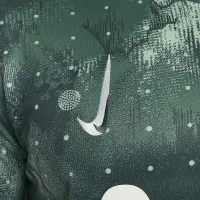 Tottenham Hotspur 2024/25 Stadium Third чоловічі Nike Dri-FIT Soccer Replica Jersey колір зелений