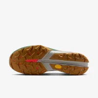 Nike Kiger 10 мужские Trail Running Кроссовки цвет серый