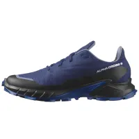 Кросівки Чоловічі SALOMON ALPHACROSS 5 GTX Gore-TEX (473092)