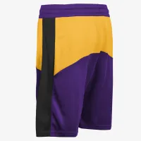 Los Angeles Lakers Starting 5 Big дитячі Nike Dri-FIT NBA шорти колір фіолетовий