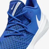 Nike HyperSpeed Court волейбольные Кроссовки синий