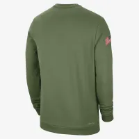 Nike College Dri-FIT (Ohio State) чоловічі Crew-Neck світшот колір зелений