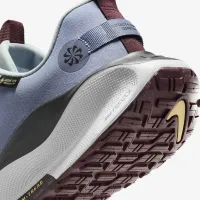 Nike InfinityRN 4 GORE-TEX мужские Waterproof Road Running Кроссовки синий
