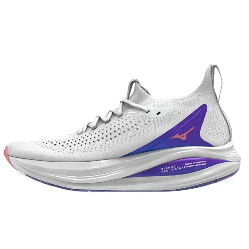 Кросівки для бігу MIZUNO NEO VISTA 2 (J1GD253421)