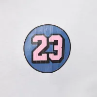 Nike Jordan AJ5 чоловічі футболка колір білий