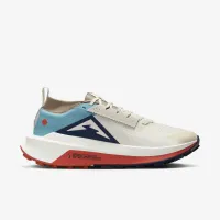 Nike Zegama 2 чоловічі Trail Running Кросівки колір сірий