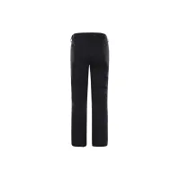 Штаны THE NORTH FACE LENADO 0A4R1IJK31