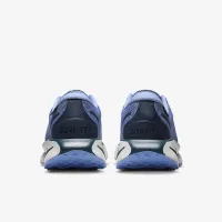 Nike Motiva GORE-TEX женская Waterproof Walking Кроссовки синий