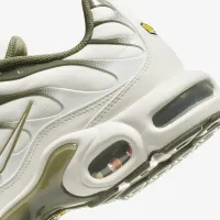 Nike Air Max Plus чоловічі Кросівки колір сірий