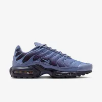 Nike Air Max Plus мужские Кроссовки синий