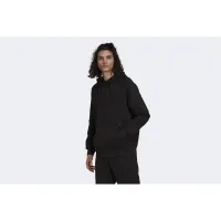 adidas Originals Graphics Tricolor Толстовка з капюшоном H13453