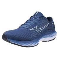 Кросівки для бігу Mizuno WAVE INSPIRE 20 (J1GC244406)