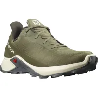 Кроссовки Мужские SALOMON ALPHACROSS 3 GTX Gore-TEX (413595)