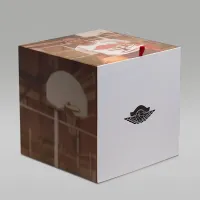 Nike Jordan Premium 8P баскетбольные цвет красный