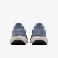 Nike Pegasus 41 женская Road Running Кроссовки (Extra Wide) синий