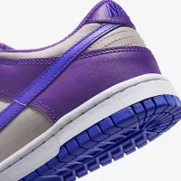 Nike Dunk Low Big детские Кроссовки цвет серый